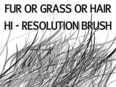 fur brush photoshop